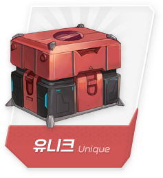 유니크 랜덤박스
