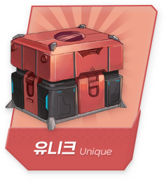 유니크 랜덤박스